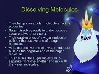 Dissolving Molecules
• The charges on a polar molecule affect its
properties.
• Sugar dissolves easily in water because
sugar and water are polar.
• The negative ends of a water molecule
pulls on the positive end of a sugar
molecule.
• Also, the positive end of a water molecule
pulls on the negative end of the sugar
molecule.
• This causes the sugar molecules to
separate from one another and mix with
the water molecules.

 