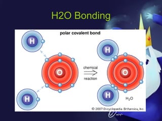H2O Bonding

 