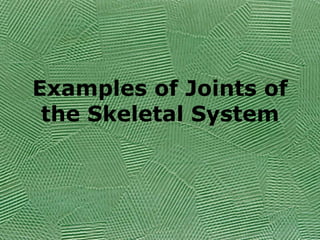 Examples of Joints of the Skeletal System 