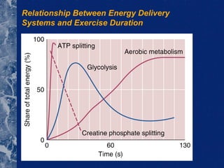 Relationship Between Energy Delivery Systems and Exercise Duration 
