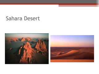 Sahara Desert
 