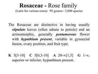 Rosaceae - Rose family
(Latin for various roses). 95 genera / 2,800 species
The Rosaceae are distinctive in having usually
stipulate leaves (often adnate to petiole) and an
actinomorphic, generally pentamerous flower
with hypathium present, variable in gynoecial
fusion, ovary position, and fruit type.
K 5[3-10] C 5[0,3-10] A 20-∞[1,5] G 1-∞,
superior or inferior, hypanthium present.
 