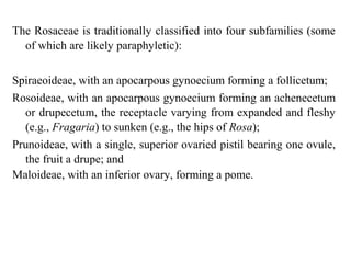 The Rosaceae is traditionally classified into four subfamilies (some
of which are likely paraphyletic):
Spiraeoideae, with an apocarpous gynoecium forming a follicetum;
Rosoideae, with an apocarpous gynoecium forming an achenecetum
or drupecetum, the receptacle varying from expanded and fleshy
(e.g., Fragaria) to sunken (e.g., the hips of Rosa);
Prunoideae, with a single, superior ovaried pistil bearing one ovule,
the fruit a drupe; and
Maloideae, with an inferior ovary, forming a pome.
 