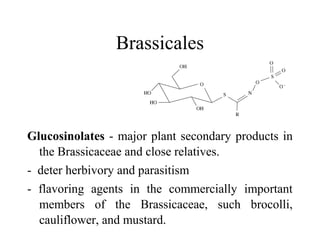Brassicales
Glucosinolates - major plant secondary products in
the Brassicaceae and close relatives.
- deter herbivory and parasitism
- flavoring agents in the commercially important
members of the Brassicaceae, such brocolli,
cauliflower, and mustard.
 