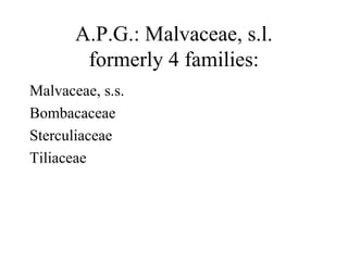 A.P.G.: Malvaceae, s.l.
formerly 4 families:
Malvaceae, s.s.
Bombacaceae
Sterculiaceae
Tiliaceae
 