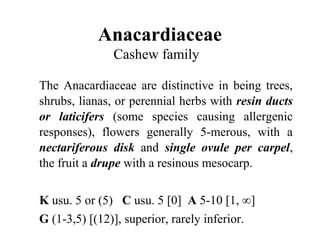 Anacardiaceae
Cashew family
The Anacardiaceae are distinctive in being trees,
shrubs, lianas, or perennial herbs with resin ducts
or laticifers (some species causing allergenic
responses), flowers generally 5-merous, with a
nectariferous disk and single ovule per carpel,
the fruit a drupe with a resinous mesocarp.
K usu. 5 or (5) C usu. 5 [0] A 5-10 [1, ∞]
G (1-3,5) [(12)], superior, rarely inferior.
 