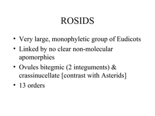 ROSIDS
• Very large, monophyletic group of Eudicots
• Linked by no clear non-molecular
apomorphies
• Ovules bitegmic (2 integuments) &
crassinucellate [contrast with Asterids]
• 13 orders
 