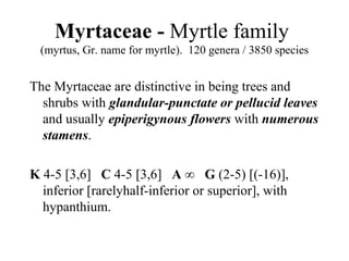 Myrtaceae - Myrtle family
(myrtus, Gr. name for myrtle). 120 genera / 3850 species
The Myrtaceae are distinctive in being trees and
shrubs with glandular-punctate or pellucid leaves
and usually epiperigynous flowers with numerous
stamens.
K 4-5 [3,6] C 4-5 [3,6] A ∞ G (2-5) [(-16)],
inferior [rarelyhalf-inferior or superior], with
hypanthium.
 