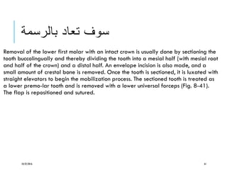 ‫بالرسمة‬ ‫تعاد‬ ‫سوف‬
Removal of the lower first molar with an intact crown is usually done by sectioning the
tooth buccolingually and thereby dividing the tooth into a mesial half (with mesial root
and half of the crown) and a distal half. An envelope incision is also made, and a
small amount of crestal bone is removed. Once the tooth is sectioned, it is luxated with
straight elevators to begin the mobilization process. The sectioned tooth is treated as
a lower premo-lar tooth and is removed with a lower universal forceps (Fig. 8-41).
The flap is repositioned and sutured.
10/22/2016 61
 