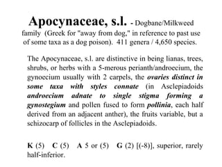 Apocynaceae, s.l. - Dogbane/Milkweed
family (Greek for "away from dog," in reference to past use
of some taxa as a dog poison). 411 genera / 4,650 species.
The Apocynaceae, s.l. are distinctive in being lianas, trees,
shrubs, or herbs with a 5-merous perianth/androecium, the
gynoecium usually with 2 carpels, the ovaries distinct in
some taxa with styles connate (in Asclepiadoids
androecium adnate to single stigma forming a
gynostegium and pollen fused to form pollinia, each half
derived from an adjacent anther), the fruits variable, but a
schizocarp of follicles in the Asclepiadoids.
K (5) C (5) A 5 or (5) G (2) [(-8)], superior, rarely
half-inferior.
 