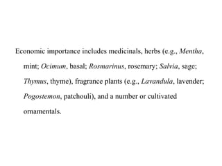 Economic importance includes medicinals, herbs (e.g., Mentha,
mint; Ocimum, basal; Rosmarinus, rosemary; Salvia, sage;
Thymus, thyme), fragrance plants (e.g., Lavandula, lavender;
Pogostemon, patchouli), and a number or cultivated
ornamentals.
 