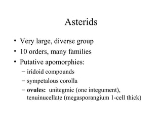 Asterids
• Very large, diverse group
• 10 orders, many families
• Putative apomorphies:
– iridoid compounds
– sympetalous corolla
– ovules: unitegmic (one integument),
tenuinucellate (megasporangium 1-cell thick)
 