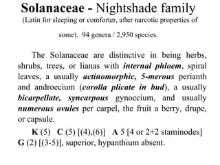 Solanaceae - Nightshade family
(Latin for sleeping or comforter, after narcotic properties of
some). 94 genera / 2,950 species.
The Solanaceae are distinctive in being herbs,
shrubs, trees, or lianas with internal phloem, spiral
leaves, a usually actinomorphic, 5-merous perianth
and androecium (corolla plicate in bud), a usually
bicarpellate, syncarpous gynoecium, and usually
numerous ovules per carpel, the fruit a berry, drupe,
or capsule.
K (5) C (5) [(4),(6)] A 5 [4 or 2+2 staminodes]
G (2) [(3-5)], superior, hypanthium absent.
 