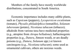 Members of the family have mostly worldwide
distributions, concentrated in South America.
Economic importance includes many edible plants,
such as Capsicum (peppers), Lycopersicon esculentum
(tomato), Physalis philadelphica (tomatillo), Solanum
tuberosum (potato), Nicotiana tabacum (tobacco);
alkaloids from various taxa have medicinal properties
(e.g., atropine from Atropa belladona), hallucinogenic
properties (e.g., Datura, Jimson weed), or are deadly
poisons (e.g., Datura, Solanum spp.) or known
carcinogens (e.g., Nicotiana tabacum); some used as
ornamental cultivars, others are noxious weeds.
 