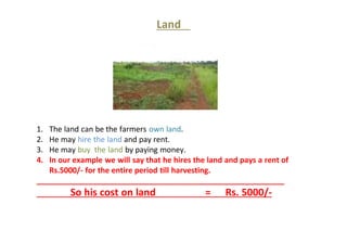 Land
1. The land can be the farmers own land.
2. He may hire the land and pay rent.
3. He may buy the land by paying money.
4. In our example we will say that he hires the land and pays a rent of
Rs.5000/- for the entire period till harvesting.
__________________________________________________________
So his cost on land = Rs. 5000/-
 