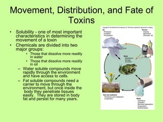 Movement, Distribution, and Fate of Toxins Solubility - one of most important characteristics in determining the movement of a toxin Chemicals are divided into two major groups: Those that dissolve more readily in water Those that dissolve more readily in oil Water soluble compounds move rapidly through the environment and have access to cells. Fat soluble compounds need a carrier to move through the environment, but once inside the  body they penetrate tissues easily.  They are stored in body fat and persist for many years. 