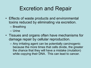 Excretion and Repair Effects of waste products and environmental toxins reduced by eliminating via excretion. Breathing Urine Tissues and organs often have mechanisms for damage repair by cellular reproduction. Any irritating agent can be potentially carcinogenic because the more times that cells divide, the greater the chance that they will have a mistake (mutation) while copying their DNA.  This can lead to cancer. 