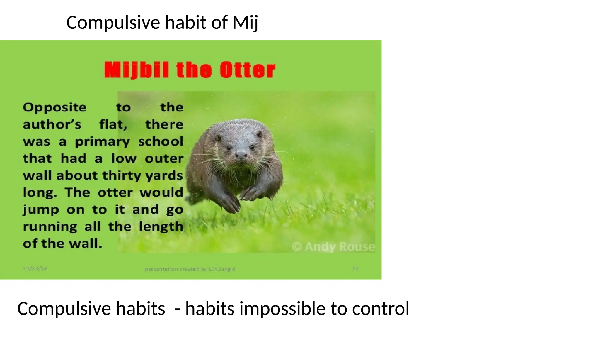 ch-8-mijbil-the-otter-pptx-48383848383-pptx