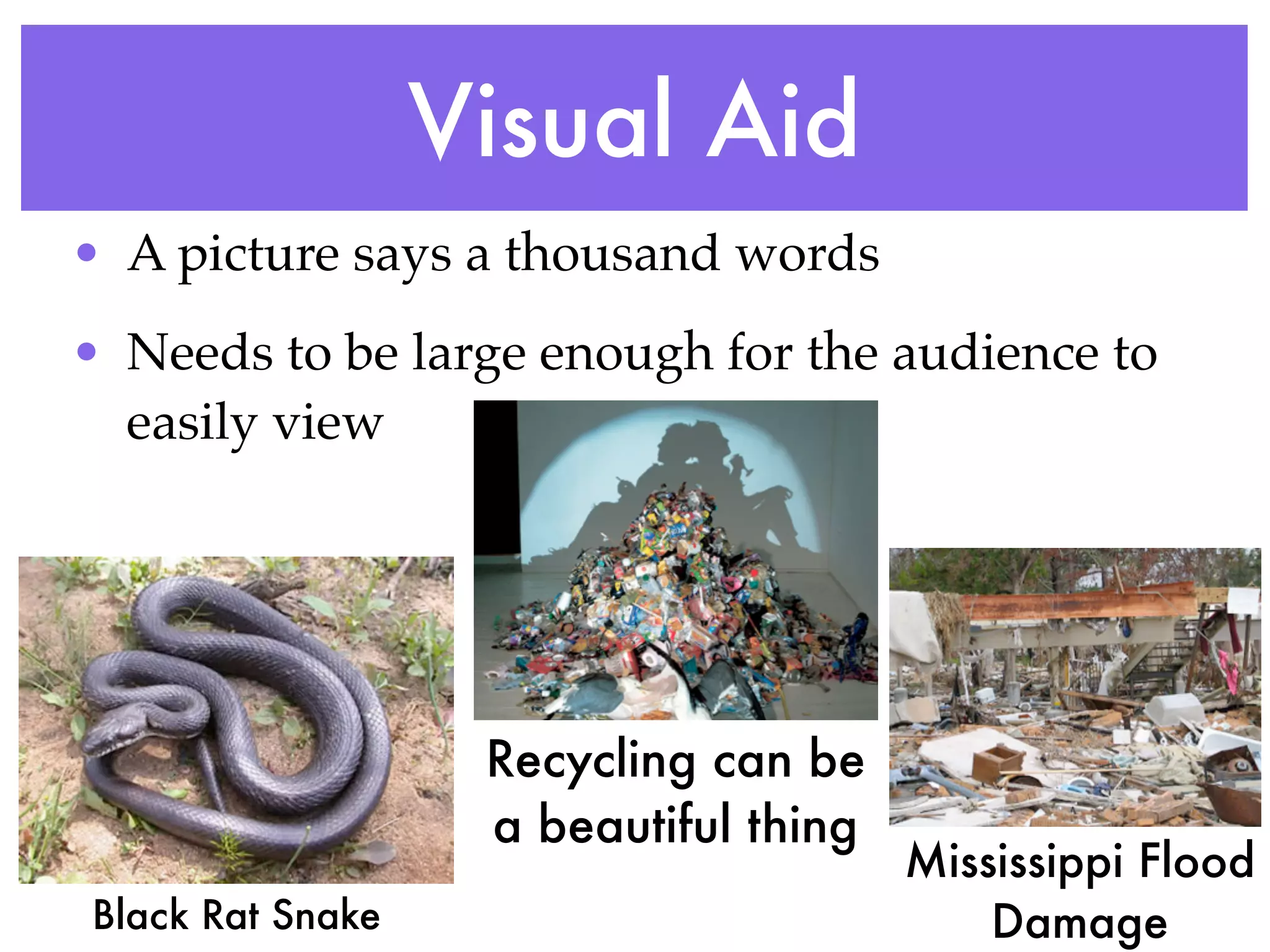 Visual Aid
• A picture says a thousand words
• Needs to be large enough for the audience to
  easily view




                   Recycling can be
                   a beautiful thing
                                       Mississippi Flood
Black Rat Snake                            Damage
 