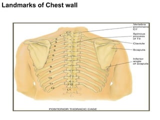 Ch8 Respiratory system part of a diagnostic course | PPTX