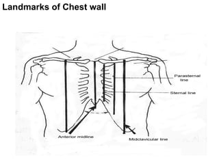Chest Panel Line Ch8 Respiratory system part of a diagnostic course | PPTX