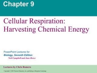 Chapter 9 Cellular Respiration: Harvesting Chemical Energy 