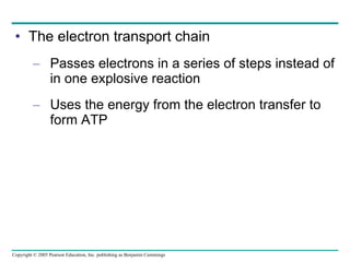 The electron transport chain Passes electrons in a series of steps instead of in one explosive reaction Uses the energy from the electron transfer to form ATP 