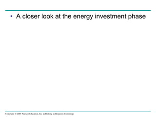 A closer look at the energy investment phase 