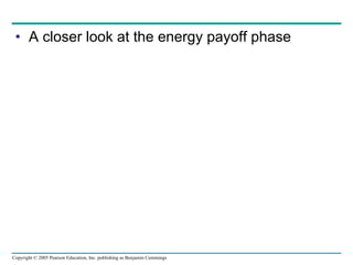 A closer look at the energy payoff phase 