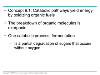Concept 9.1: Catabolic pathways yield energy by oxidizing organic fuels The breakdown of organic molecules is exergonic One catabolic process, fermentation Is a partial degradation of sugars that occurs without oxygen 