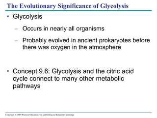 The Evolutionary Significance of Glycolysis Glycolysis Occurs in nearly all organisms Probably evolved in ancient prokaryotes before there was oxygen in the atmosphere Concept 9.6: Glycolysis and the citric acid cycle connect to many other metabolic pathways 