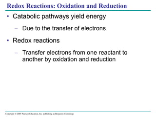 Redox Reactions: Oxidation and Reduction Catabolic pathways yield energy Due to the transfer of electrons Redox reactions Transfer electrons from one reactant to another by oxidation and reduction 