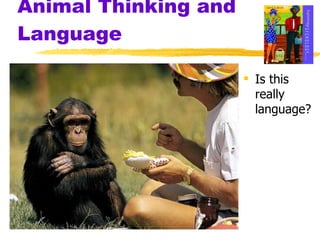 Animal Thinking and Language Is this really language? 