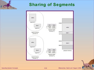 Sharing of Segments 