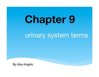Chapter 9	
  
        urinary system terms



By Alex Angelo
 
