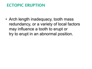Ch9 Eruption -Pediatric dentistry McDonald | PDF