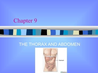 Chapter 9 THE THORAX AND ABDOMEN  