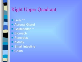Urq Thorax and Abdomen Information | PPT