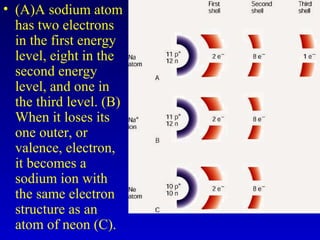 • (A)A sodium atom
has two electrons
in the first energy
level, eight in the
second energy
level, and one in
the third level. (B)
When it loses its
one outer, or
valence, electron,
it becomes a
sodium ion with
the same electron
structure as an
atom of neon (C).
 