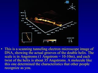• This is a scanning tunneling electron microscope image of
DNA, showing the actual grooves of the double helix. The
scale is in Angstroms (1 Angstrom = 10-10m), and each
twist of the helix is about 35 Angstroms. A molecule like
this one determined the characteristics that other people
recognize as you.
 
