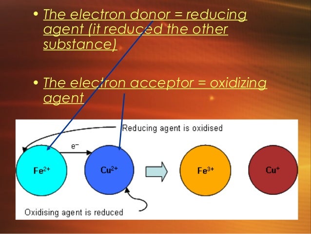 What Cell Part Releases Energy Stored In Food What Cell Part Releases Energy Stored In Food