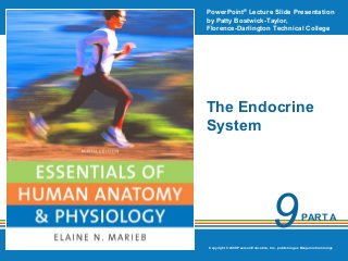 PowerPoint® Lecture Slide Presentation
by Patty Bostwick-Taylor,
Florence-Darlington Technical College

The Endocrine
System

9

PART A

Copyright © 2009 Pearson Education, Inc., publishing as Benjamin Cummings

 