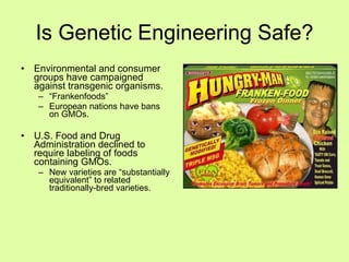 Is Genetic Engineering Safe? Environmental and consumer groups have campaigned against transgenic organisms. “ Frankenfoods” European nations have bans on GMOs. U.S. Food and Drug Administration declined to require labeling of foods containing GMOs. New varieties are “substantially equivalent” to related traditionally-bred varieties. 