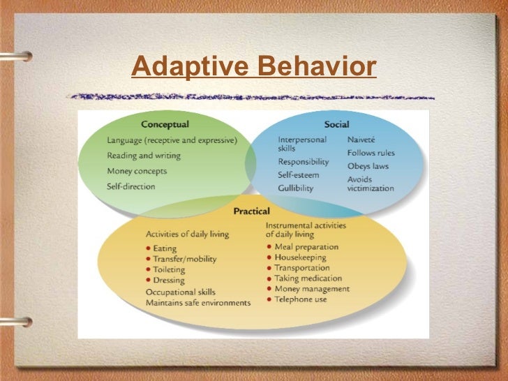 Ch 9 Intellectual and Deveopmental Disabilities