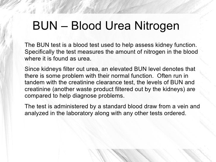 blood workdone found bun high