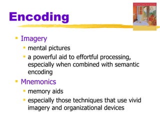 Semantic Encoding Psychology
