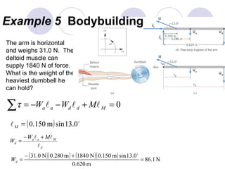 Example 5  Bodybuilding The arm is horizontal and weighs 31.0 N.  The deltoid muscle can supply 1840 N of force.  What is the weight of the heaviest dumbbell he can hold? 
