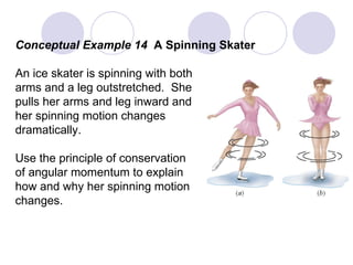 Conceptual Example 14  A Spinning Skater An ice skater is spinning with both arms and a leg outstretched.  She pulls her arms and leg inward and her spinning motion changes dramatically. Use the principle of conservation of angular momentum to explain how and why her spinning motion changes. 