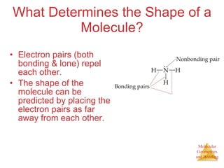 What Determines the Shape of a Molecule? Electron pairs (both bonding & lone) repel each other. The shape of the molecule can be predicted by placing the electron pairs as far away from each other. 