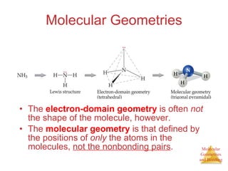 Molecular Geometries The  electron-domain geometry  is often  not  the shape of the molecule, however. The  molecular geometry  is that defined by the positions of  only  the atoms in the molecules,  not the nonbonding pairs . 
